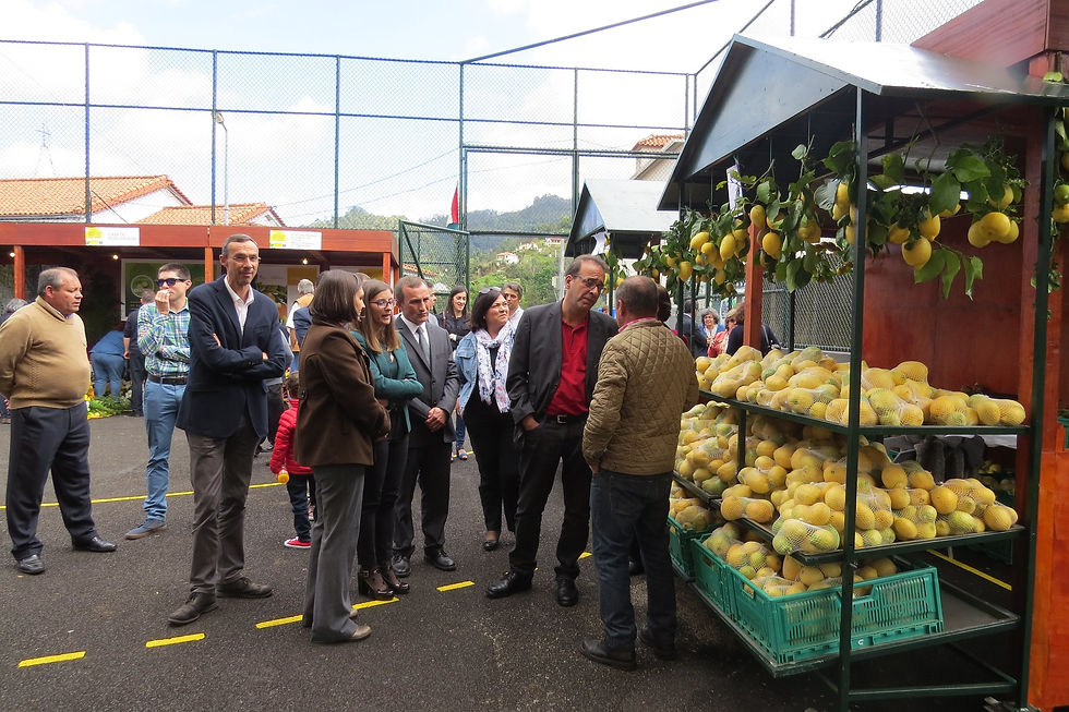 Abertura Oficial