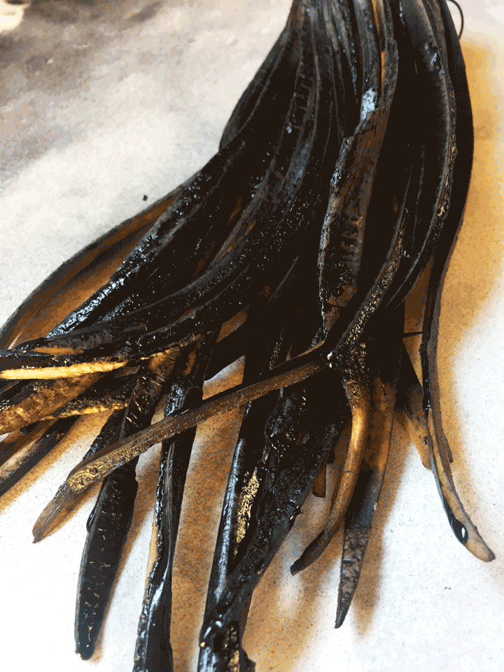 Banana-Curtain-2.gif