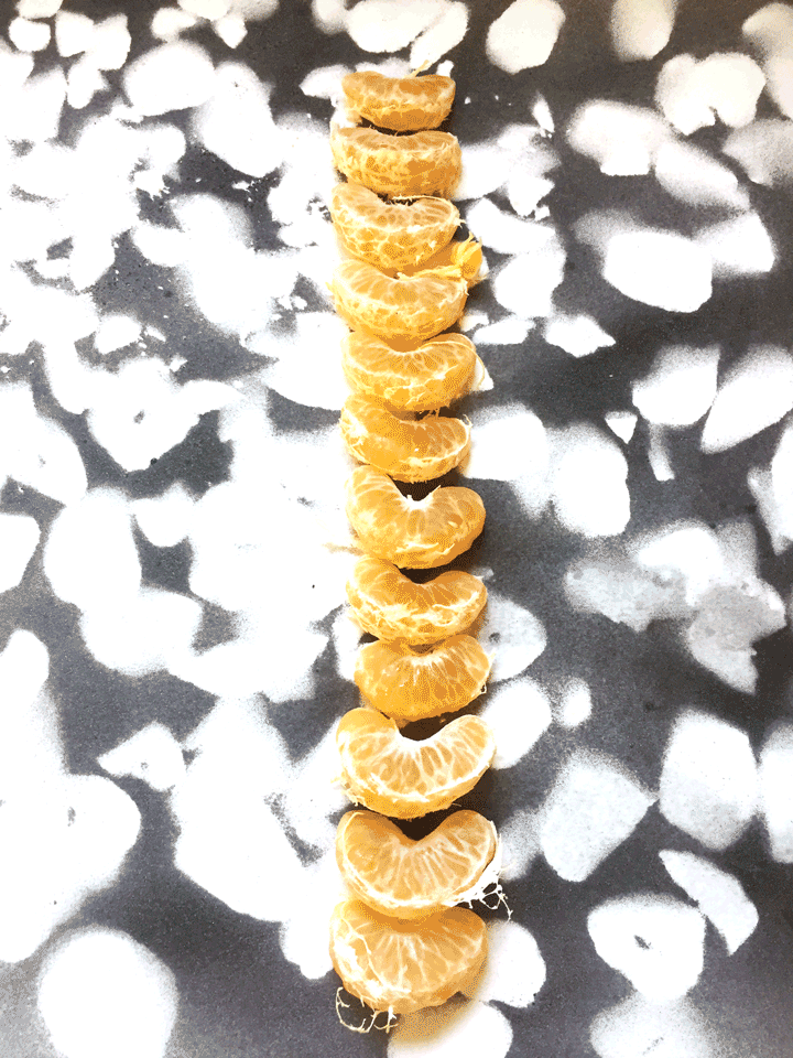 Mandarin-Barrier.gif