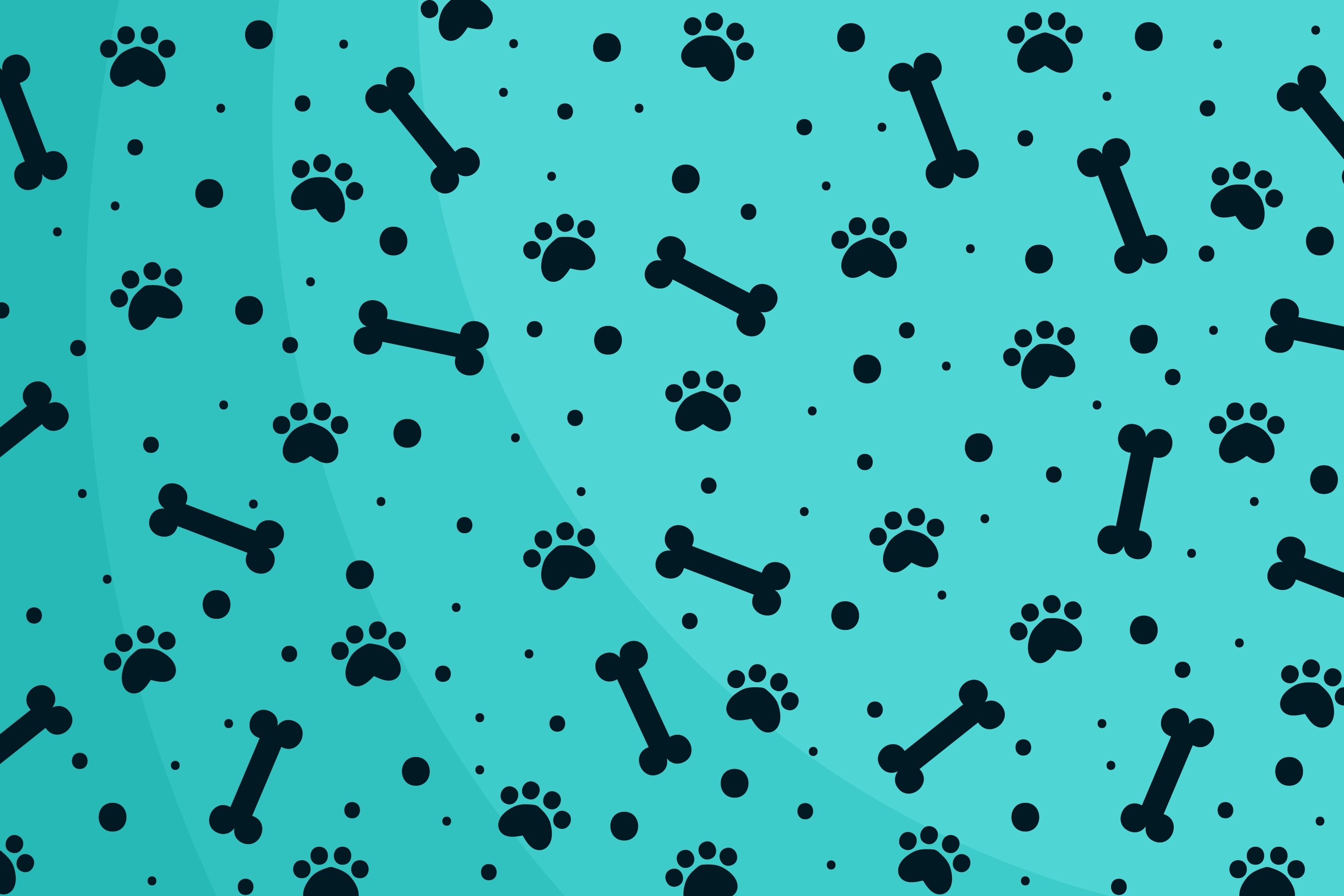 Lucky Dog Stay and Play property
