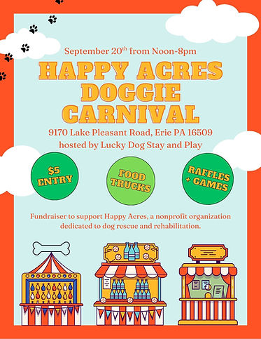 Carnival Flyer.jpg