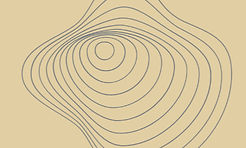 Adsız tasarım (33)_edited.jpg