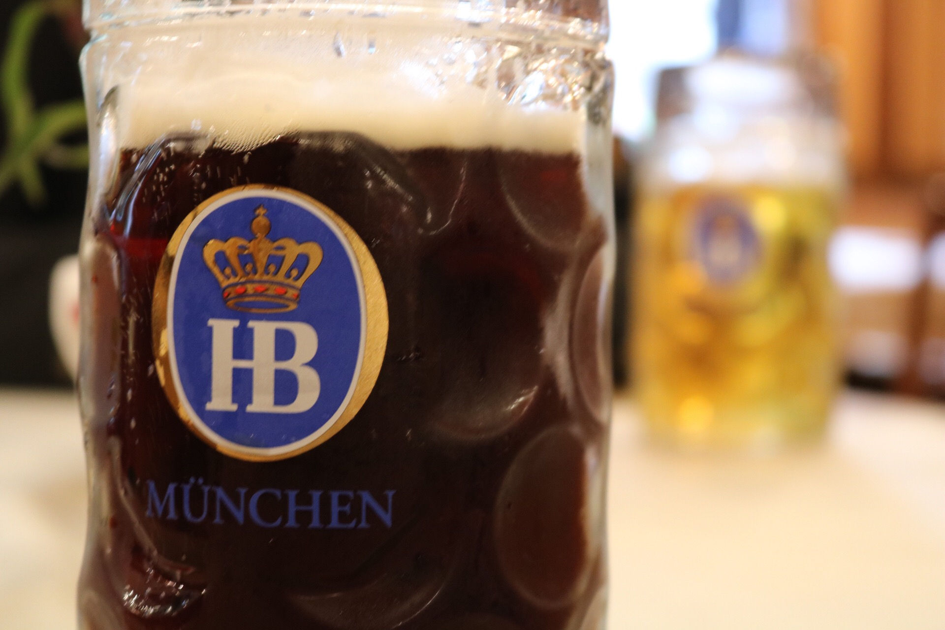 Hofbräu Dunkel