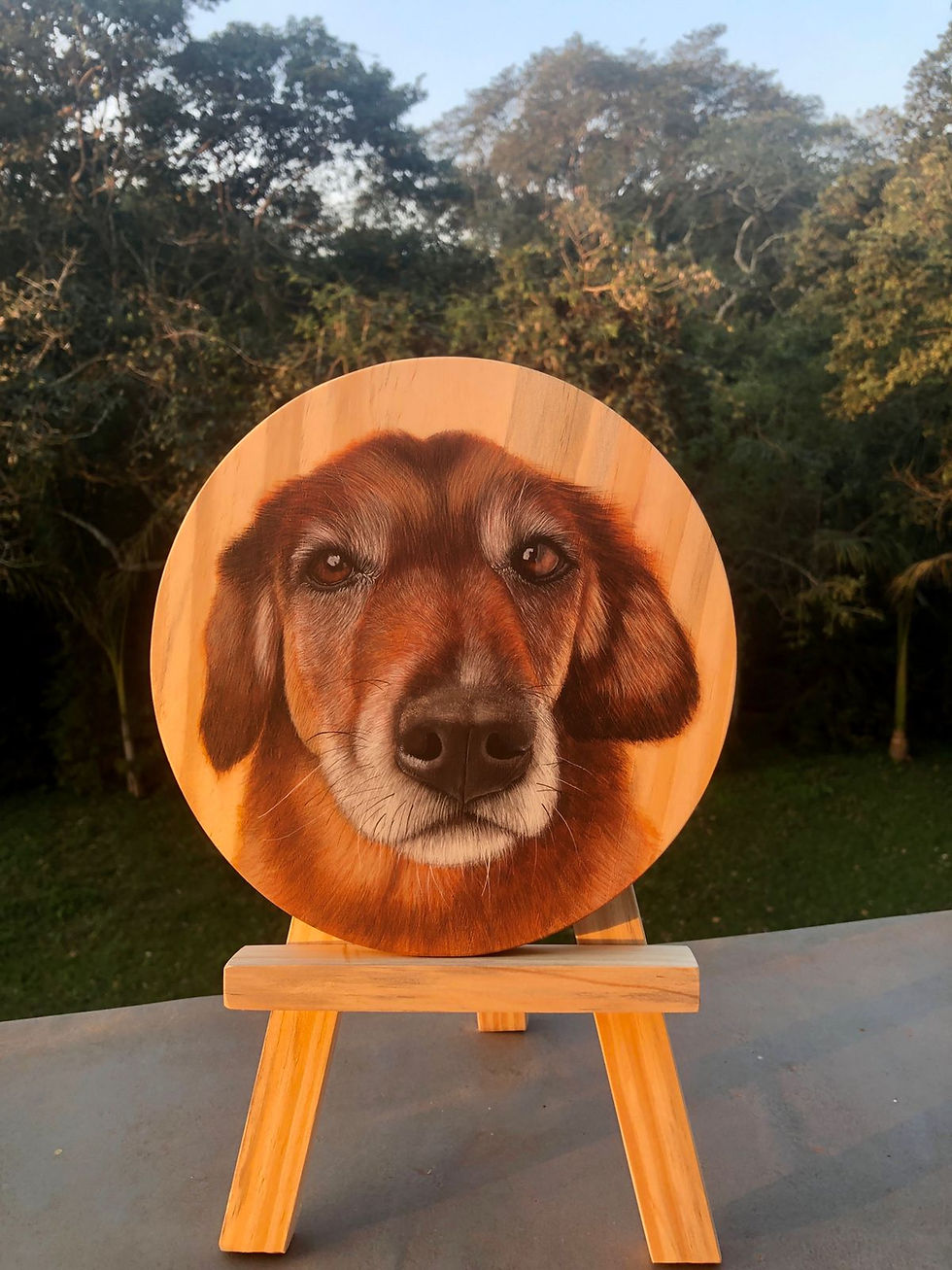 Retrato Pet em Madeira