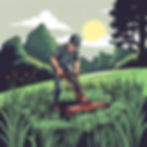Grass Cutting.jpg