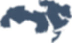 MENA Map.jpg