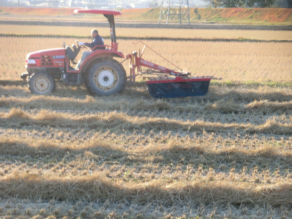 CIMG2785 - コピー