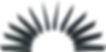 Plastic Shims (Set of 12)