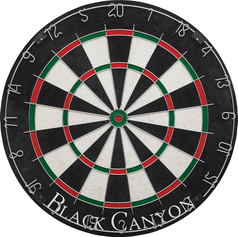 Black Canyon Sisal Fiber Bristle Dart Board with Round Wire