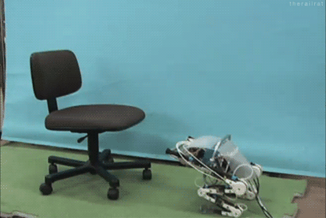 A frog robot jumps on a computer chair