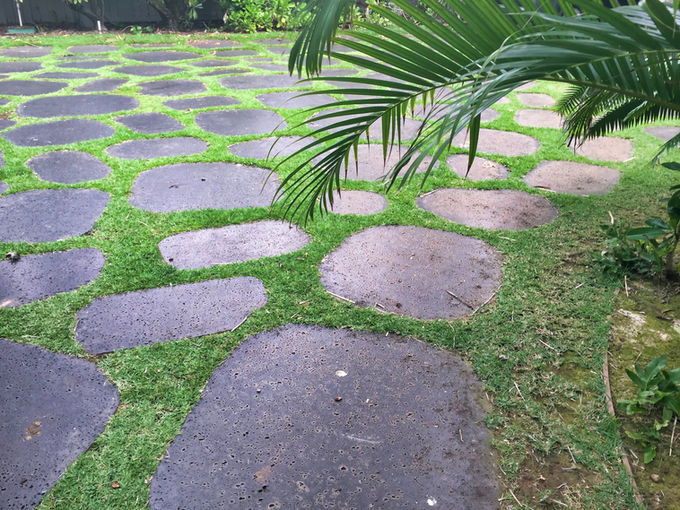 Stepstones A (19).JPG
