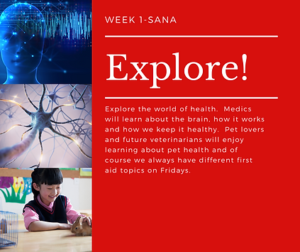 Week 1-Explore!-Sana (2).png