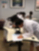IMG_1972.JPEG