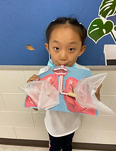 lungs mini activity girl.jpeg