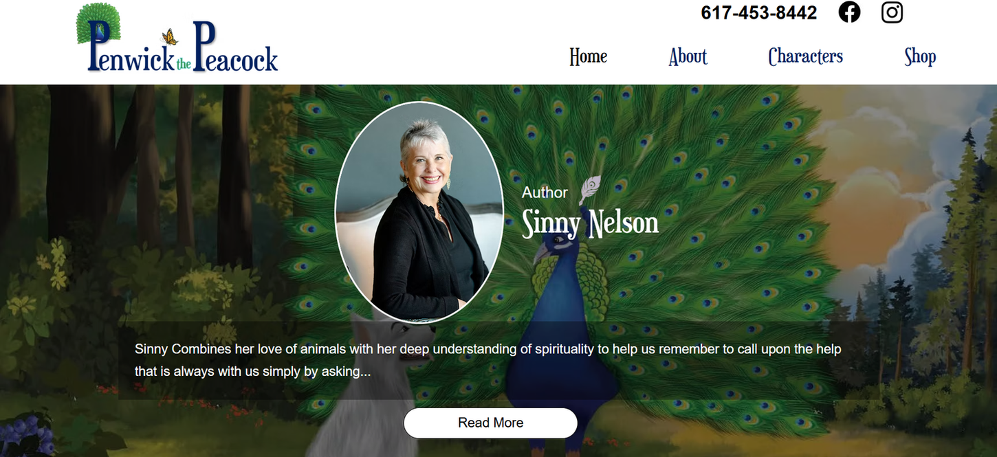 website image