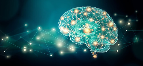 shutterstock_1413803099-crop (1).jpg