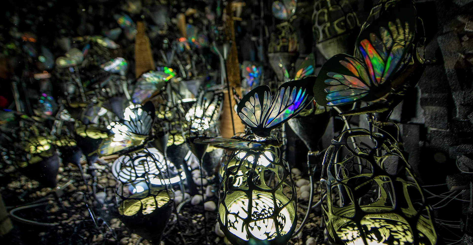 Secluded Evolution, Light installation, light art, craft installation, light sculpture, art and science, birefringence, kinetic art, kinetic sculpture, kinetic light, kinetic installation, lightscape, landscape, botanical art, botanica, STEM, STEAM, science works, hand crafted art, installation art, coloured landscape, vista, cave art, butterflies, butterfly, muscle wire, light diffraction, Gertrude Street art, GSPF, projection festival, mood lighting, window display art, art in Melbourne, art in Fitzroy, colour, color, health and art, contemplation, vivid colours, vivid colors, magical art, unexpected art, whimsical art, light festival, fantasy art, cave art, mechatronic art, actuation, delightful art, art and science, science and art, tech art, colour metamorphosis, color metamorphosis 