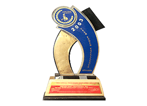 2003 Year-Ender Excellence Awardee.png