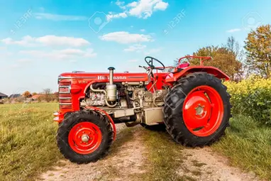 d115 t.webp