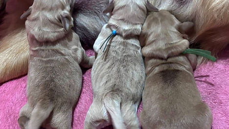 605109511_1374574931130987_2723703392575