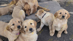 486699849_1160348862553596_9079711380834375005_n