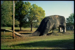 Near Brooksville, FL (3-88)