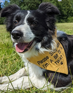 Please Stay Back Im A Bit Of A Twat 2.jpg