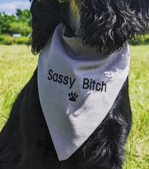 'Sassy Bitch'