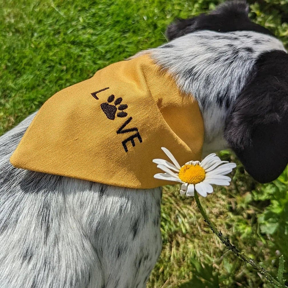 'Love' Bandana