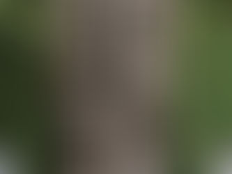 ESG: A call for corporate ownership and responsibility