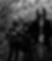 Sounds | Musk Ox, Memoriam