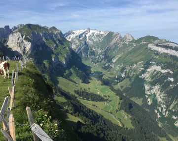 IMG_6053.jpeg