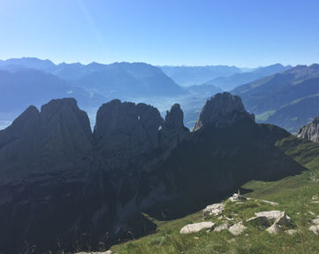 IMG_4533.jpeg