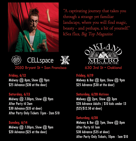 Beyond Shadows Flyer Back