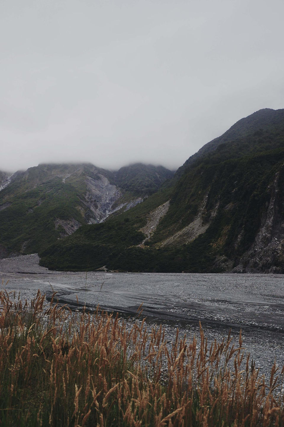 NZ 39.jpg