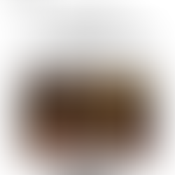 "Verde, bianco... Rossini!" 14/11/2021