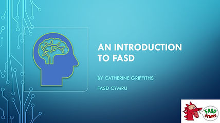 Longer intro to FASD screenshot.jpg