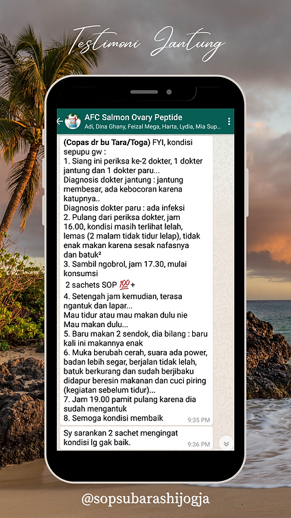 Highlight ig _sopsubarashijogja (2).png