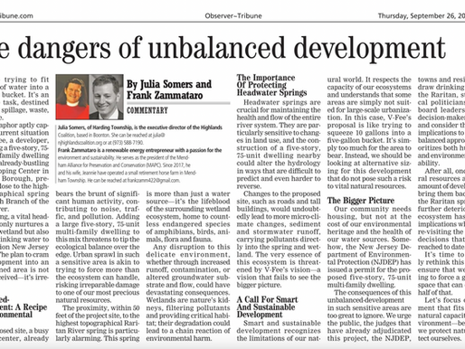 The Dangers of Unbalanced Development
