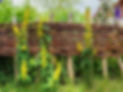 AdobeStock_360115981.jpeg