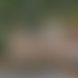 Вечера на хуторе в Dordogne