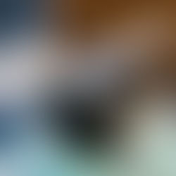 Привет от Боба