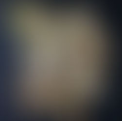 Для тех, кто не разбирается в двухстворчатых