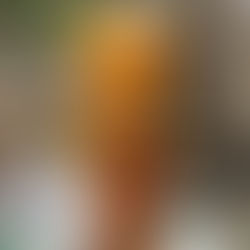 Две жареных куклы, пожалуйста