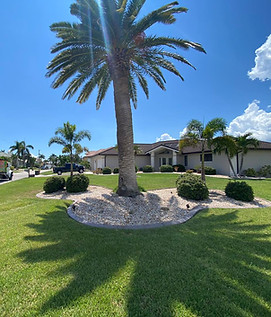 490504968_1257688396364645_5742551739379977479_n.jpg