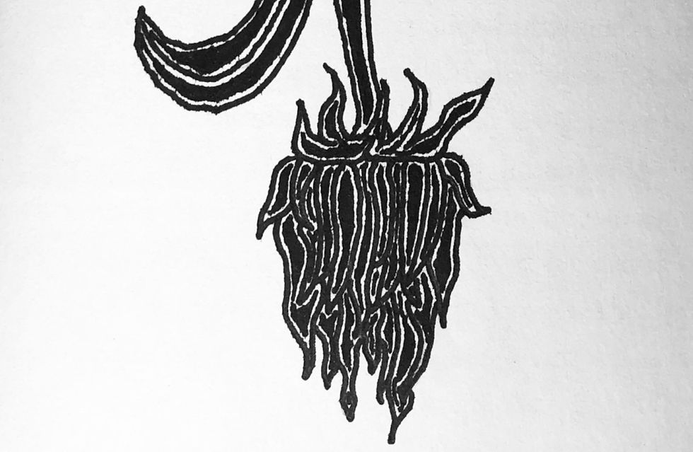 ree
