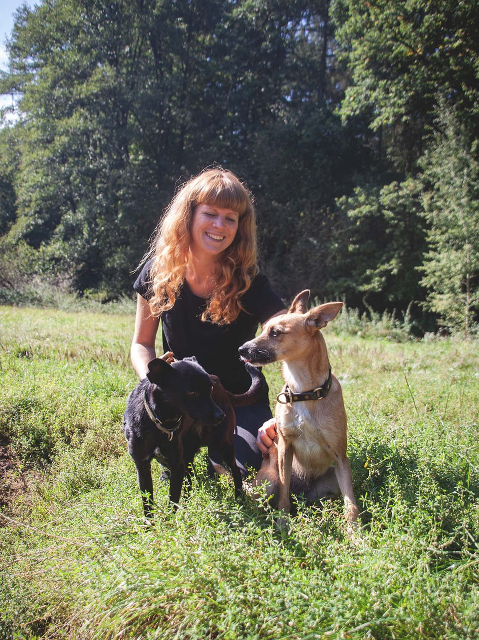 randi-naujoks-7-stadtparkhund-website.jpg