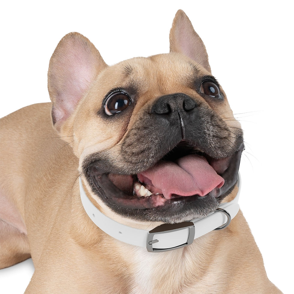 Thumbnail: Dog Collar