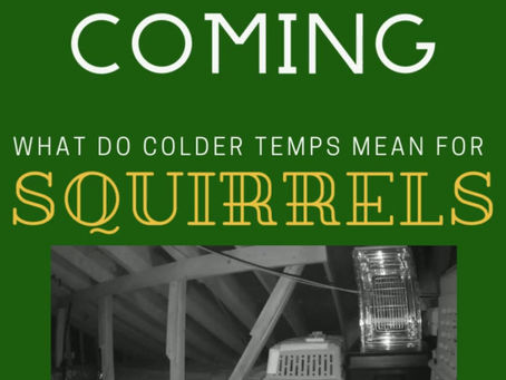 Winter is Coming...