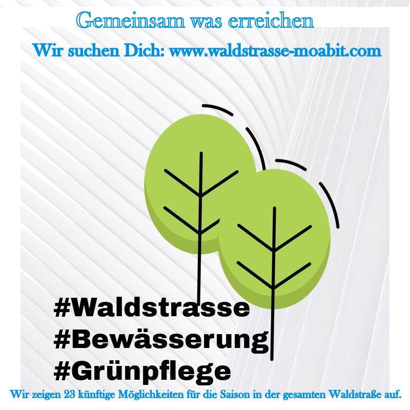 Autorenbild: waldstr